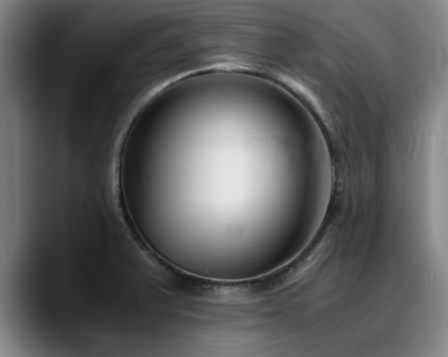 X0000090701375200707201150