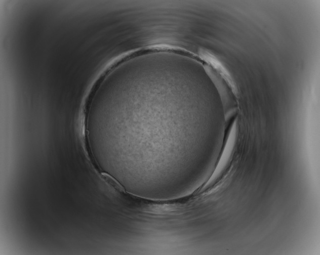 X0000090701376200707201150