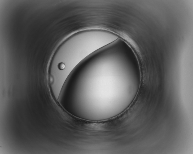 X0000090701380200707201149