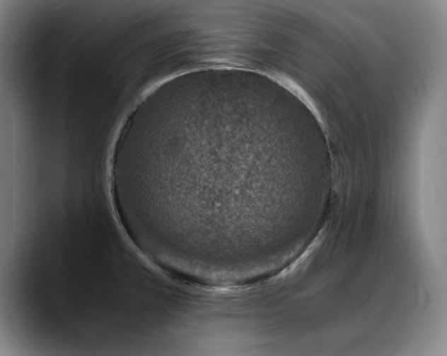 X0000090701381200707201149