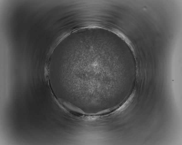 X0000090701385200707201149