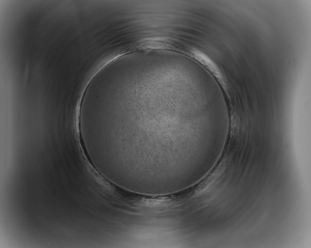 X0000090701386200707201149