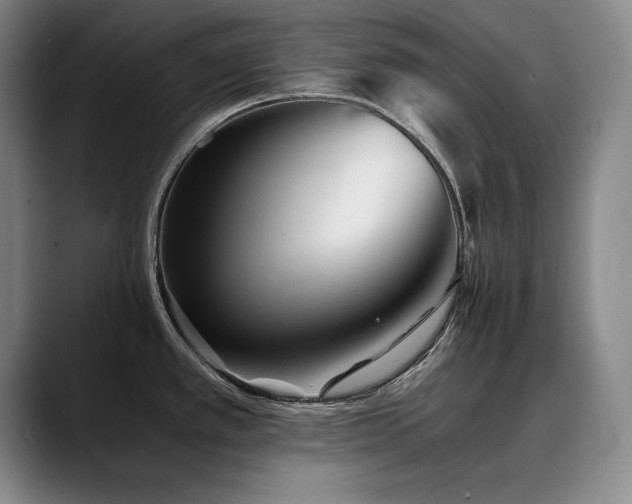 X0000090701389200707201149