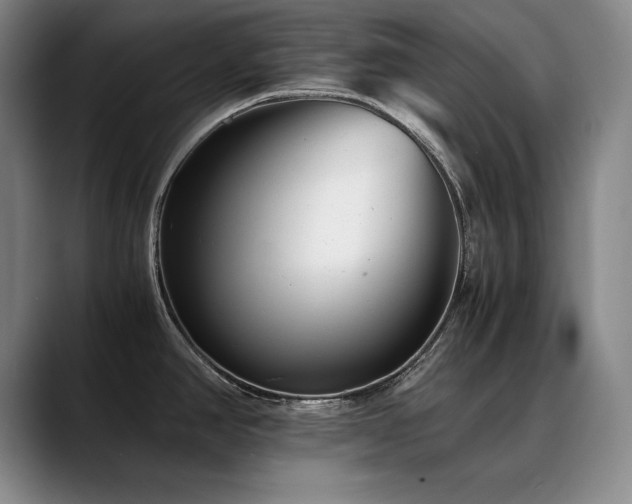 X0000090701390200707201149