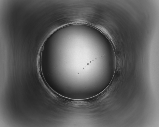 X0000090701391200707201149