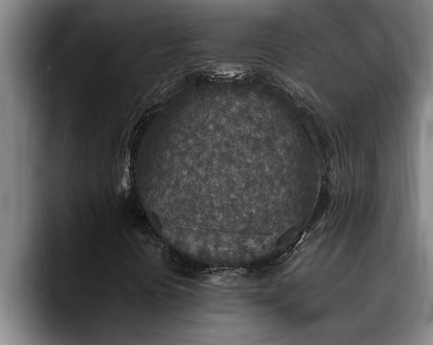 X0000090701394200707201149