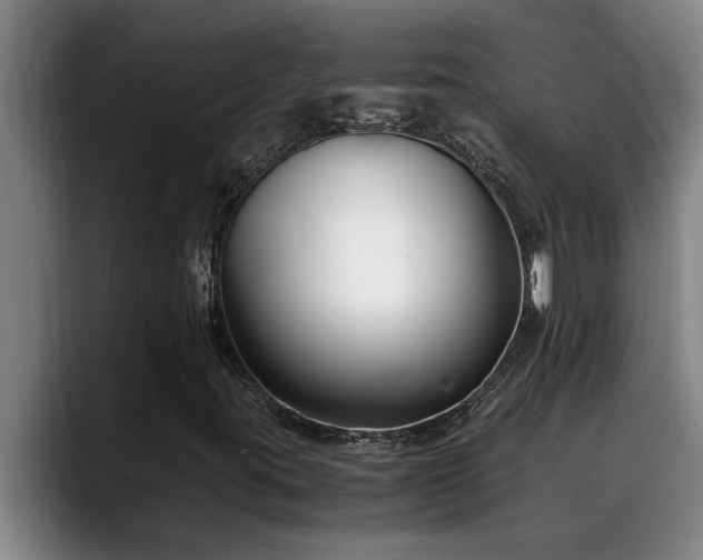 X0000090701395200707201149