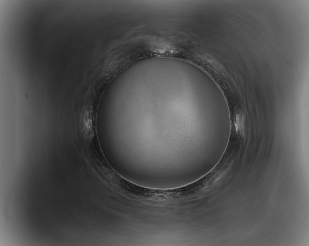 X0000090701396200707201149