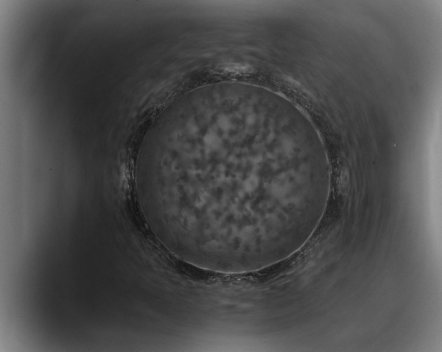 X0000090701397200707201149