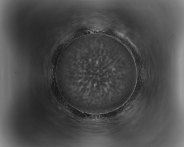 X0000090701399200707201149