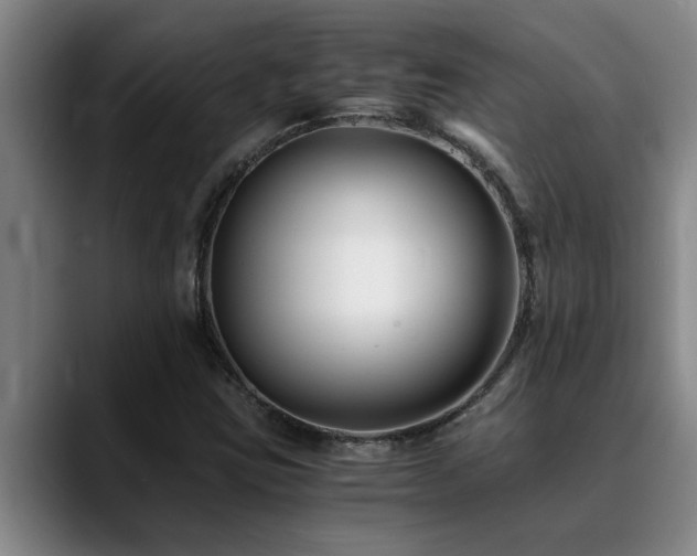 X0000090701403200707201149