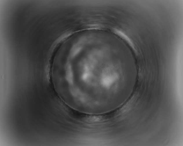 X0000090701411200707201149