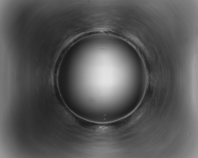 X0000090701412200707201149
