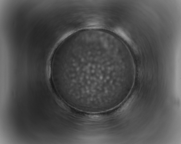 X0000090701413200707201149