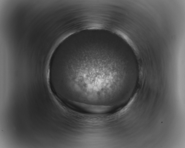X0000090701418200707201149
