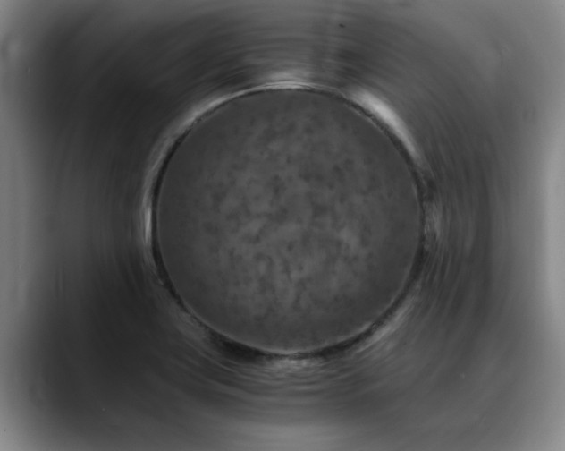 X0000090701419200707201149