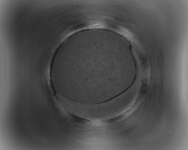 X0000090701422200707201149