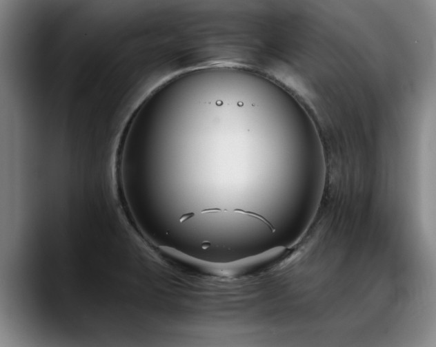 X0000090701423200707201149