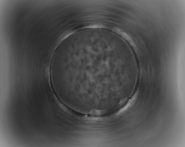 X0000090701425200707201149