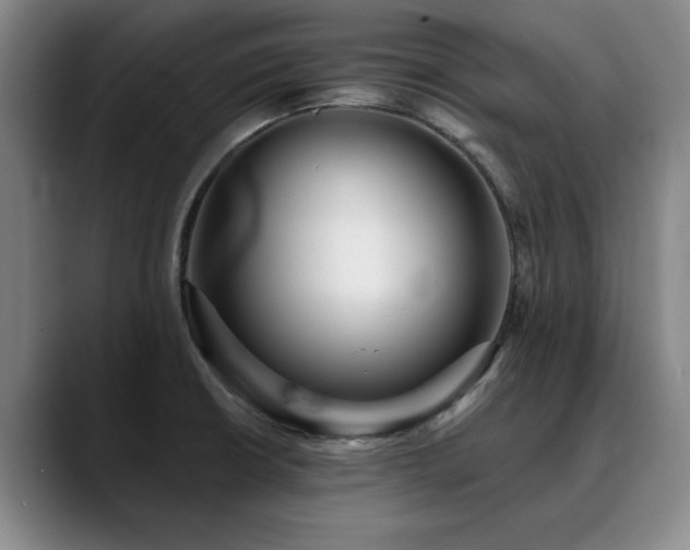X0000090701426200707201149