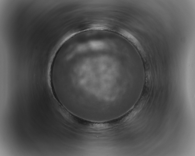 X0000090701427200707201149