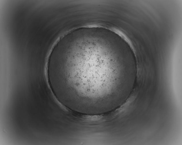 X0000090701429200707201149
