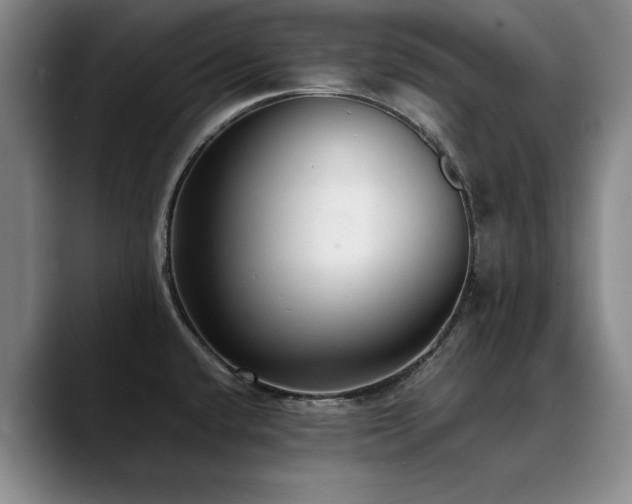 X0000090701432200707201149