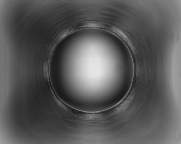 X0000090701433200707201149