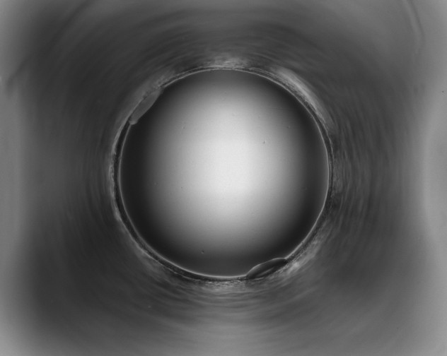 X0000090701434200707201149