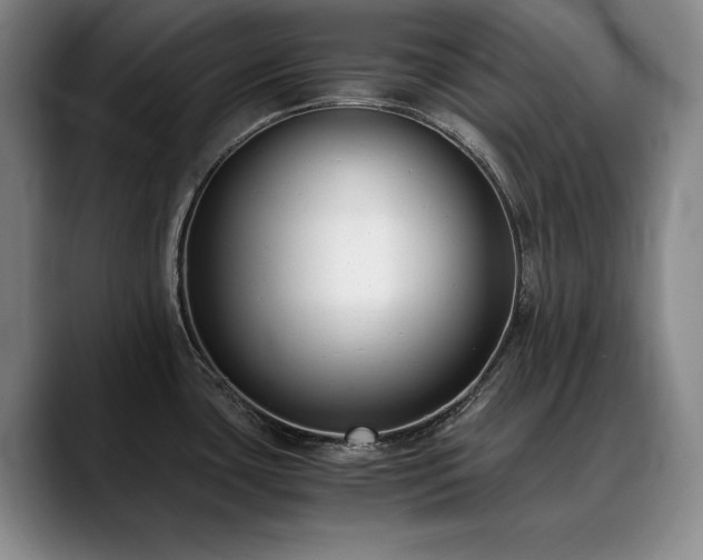X0000090701435200707201149