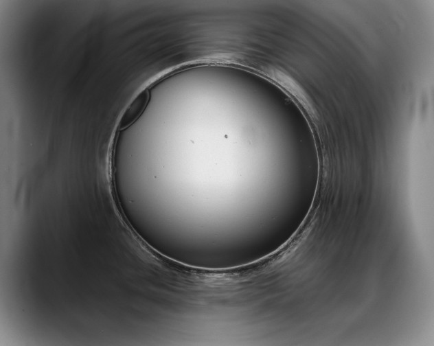 X0000090701436200707201149