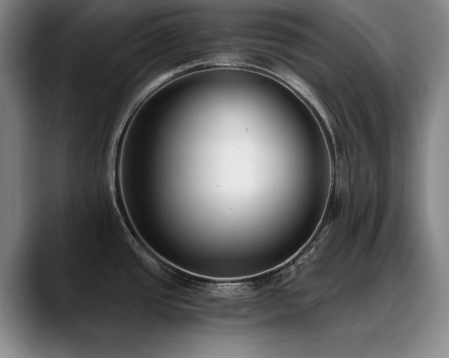 X0000090701437200707201149