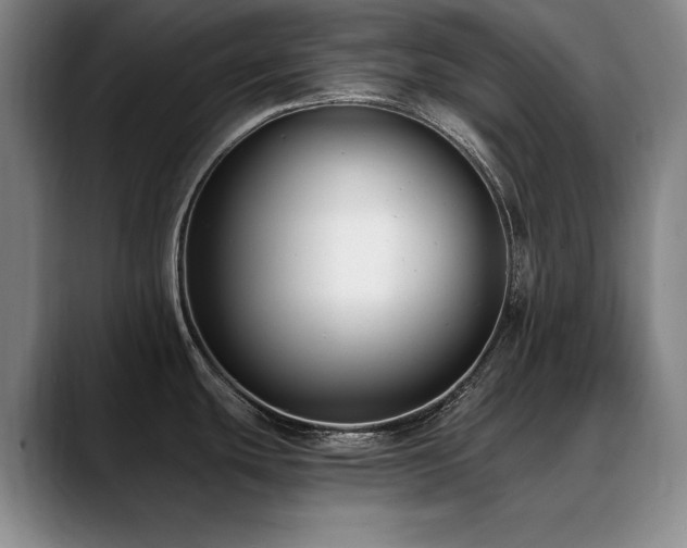X0000090701439200707201149