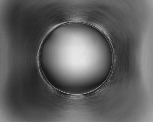 X0000090701440200707201149