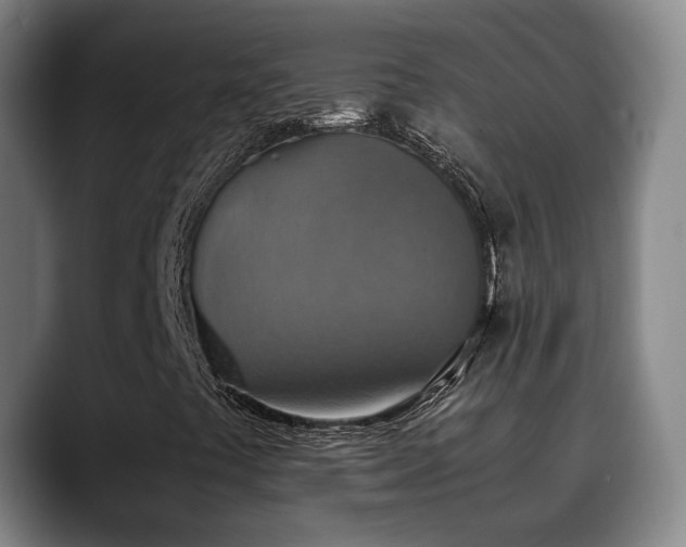 X0000090701441200707201149