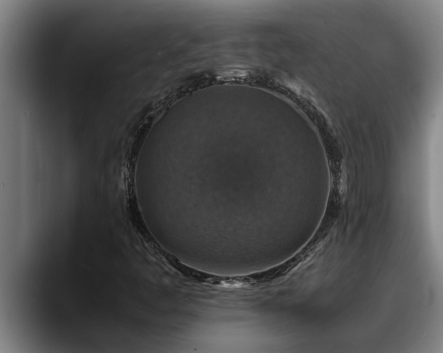 X0000090701445200707201149