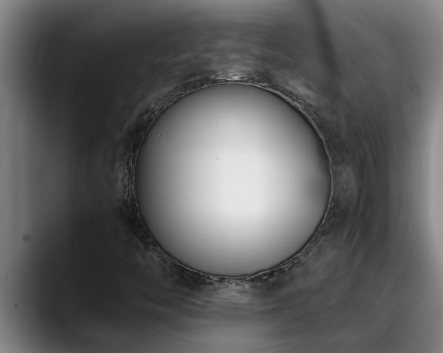 X0000090701446200707201149