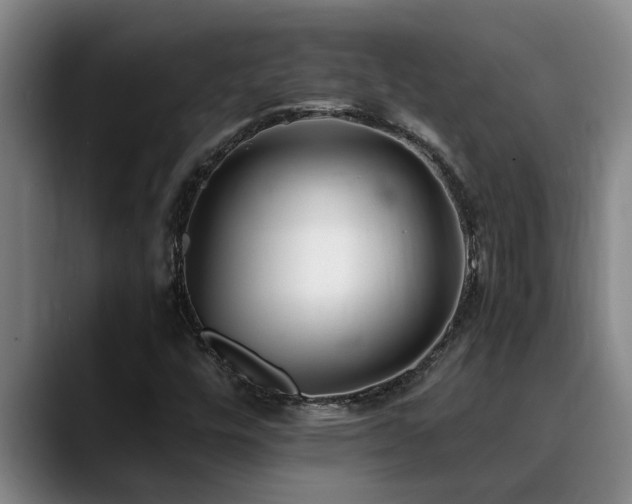 X0000090701448200707201149