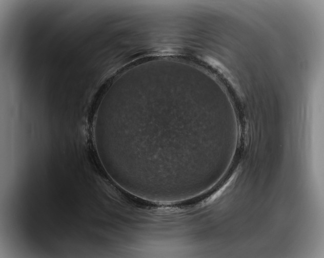 X0000090701449200707201149