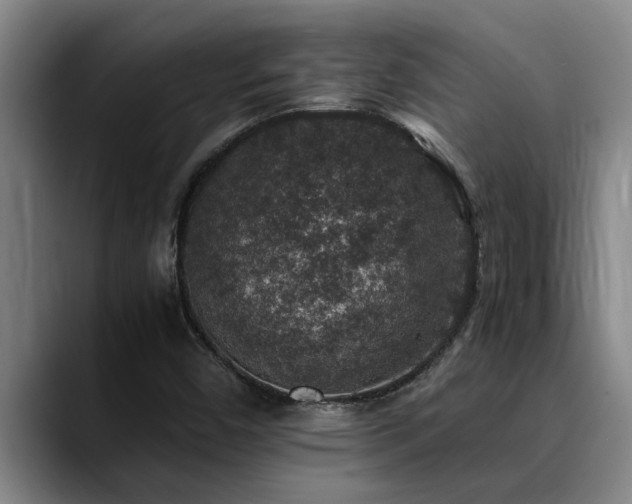 X0000090701450200707201149