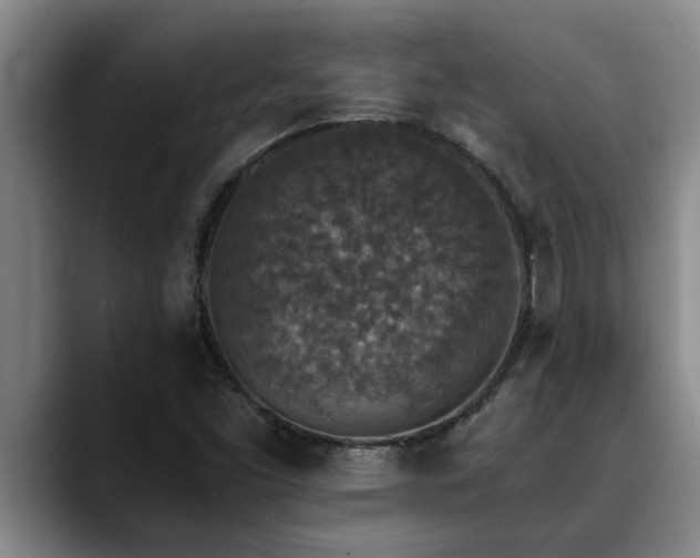 X0000090701453200707201149