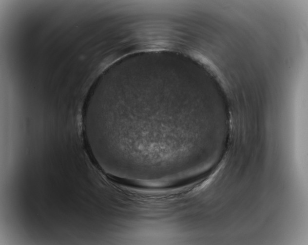 X0000090701457200707201149