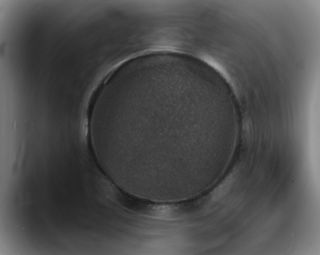 X0000090701461200707201149
