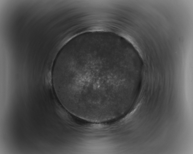 X0000090701465200707201149
