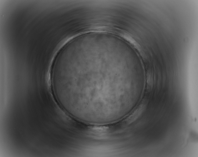 X0000090701466200707201148