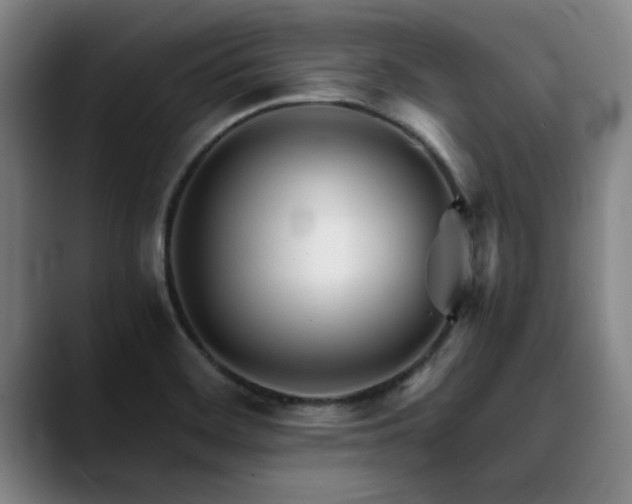 X0000090701468200707201148
