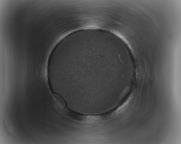 X0000090701469200707201148