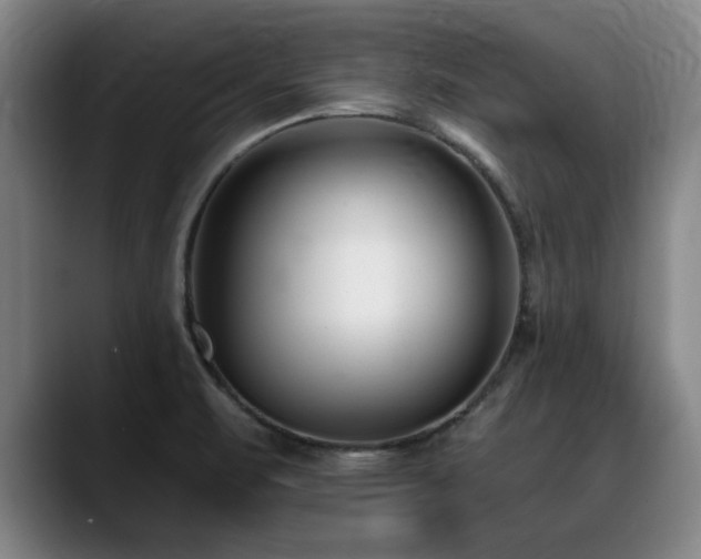 X0000090701471200707201148
