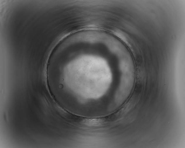 X0000090701474200707201148