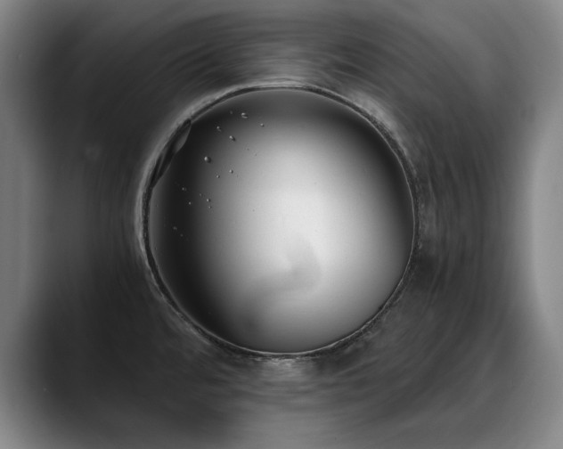 X0000090701480200707201148